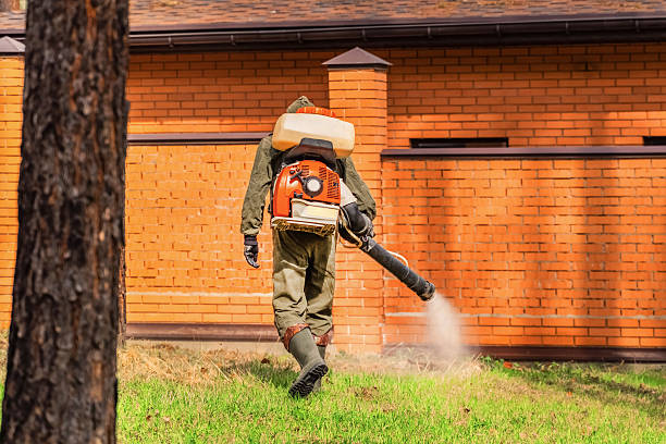 Trusted Emergency Pest Control service in Bloomsburg, PA - Nex Pest Control